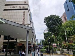 Lucky Plaza (D9), Retail #594365671